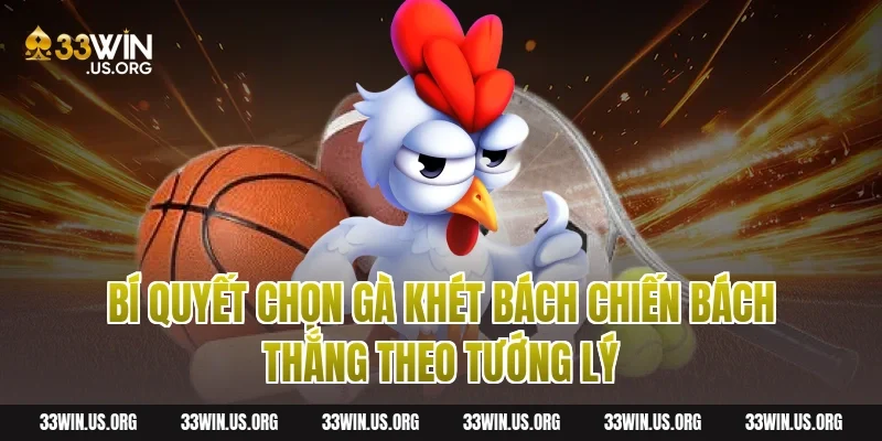 Bí Quyết Chọn Gà Khét Bách Chiến Bách Thắng Theo Tướng Lý