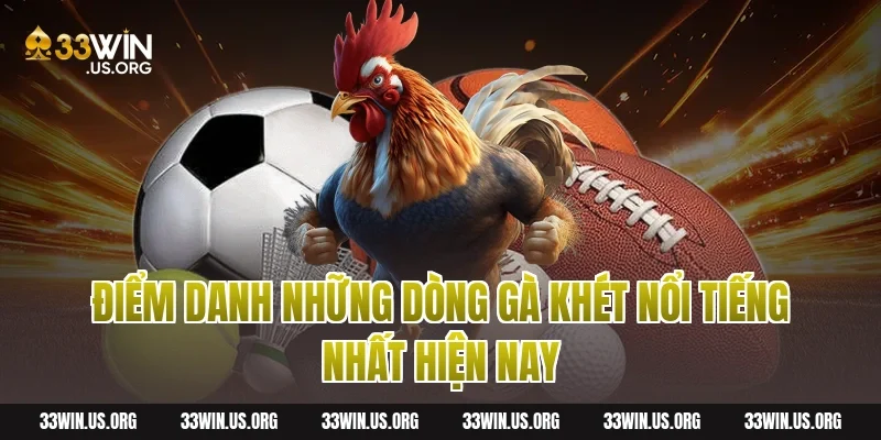 Điểm Danh Những Dòng Gà Khét Nổi Tiếng Nhất Hiện Nay